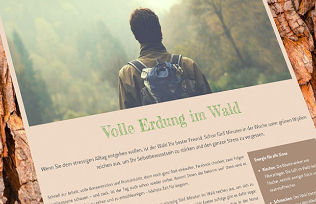 VW Financial Services Website Screenshot 1