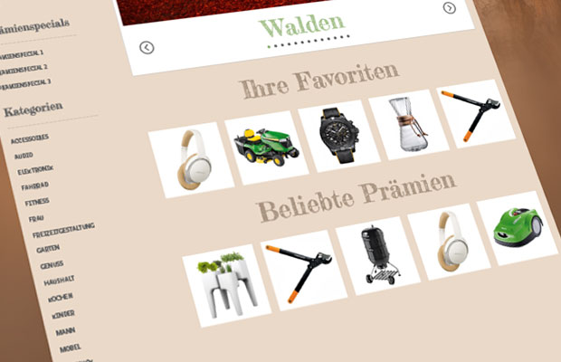 VW Financial Services Website Screenshot 4