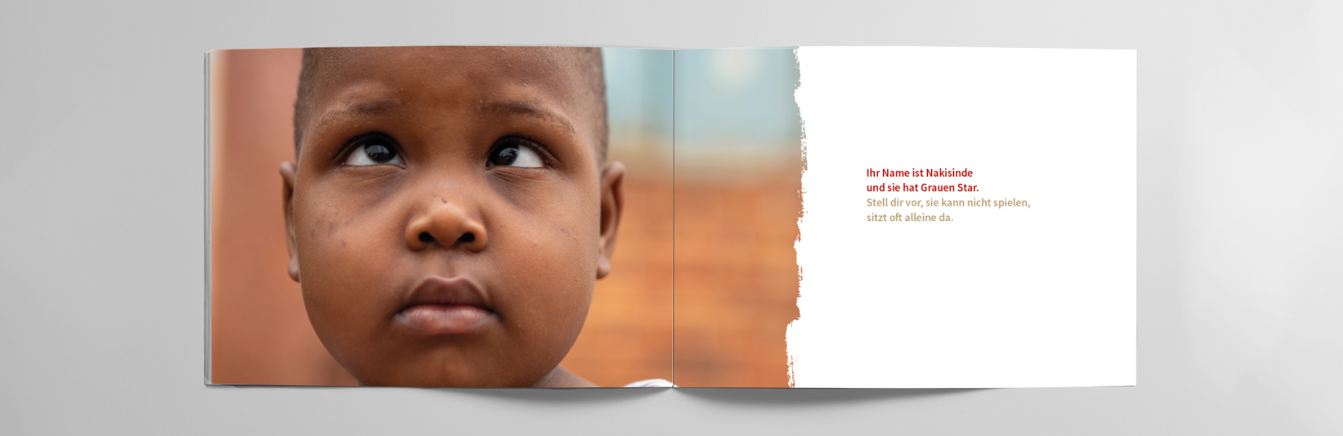 trio-case-cbm-brochure-pictures