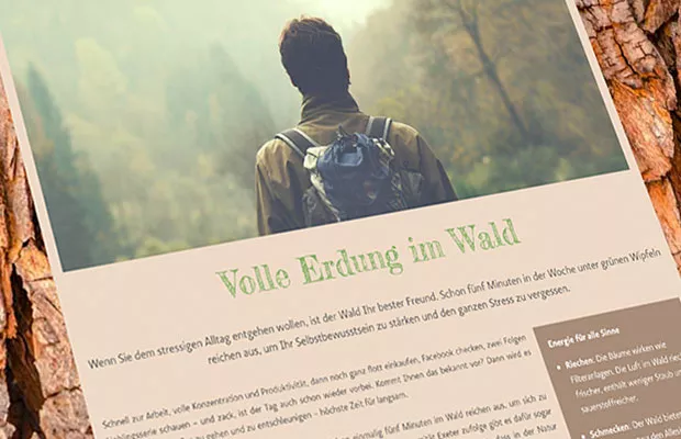 VW Financial Services Website Screenshot 1