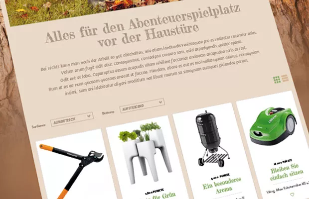 VW Financial Services Website Screenshot 2