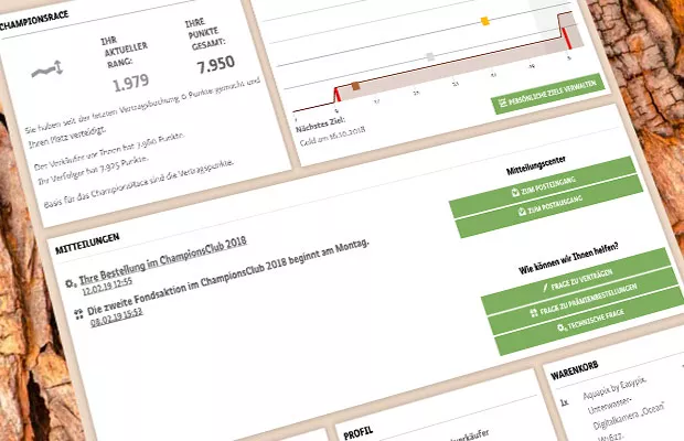 VW Financial Services Website Screenshot 3