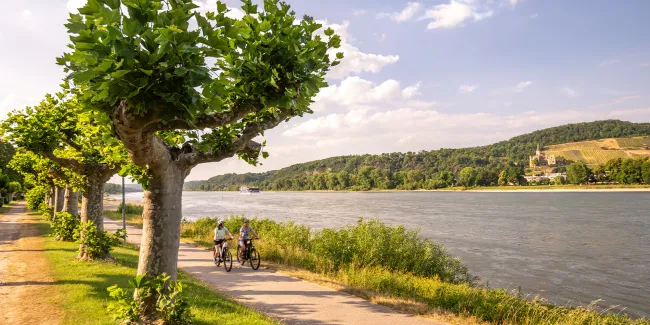 Romantische Aufnahme vom Rhein