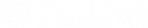 Volkswagen Financial Services-Lettering and VW-Signet