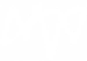 MVV Logo