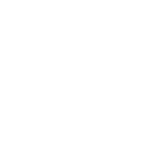 Logo BIG