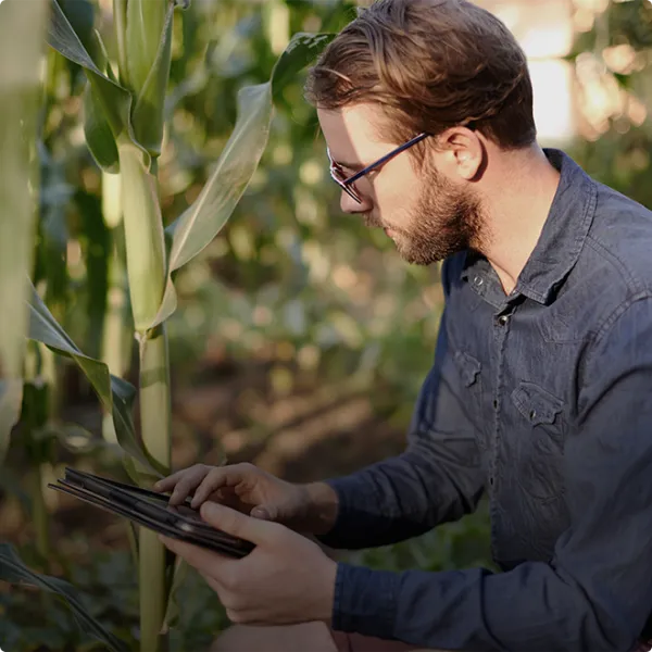 Ein Mann in einem Feld mit einem Tablet