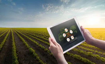 trio case Kubota Vertrieb Header