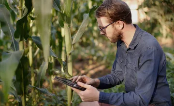 Ein junger Landwirt analysiert Pflanzen auf einem Feld.