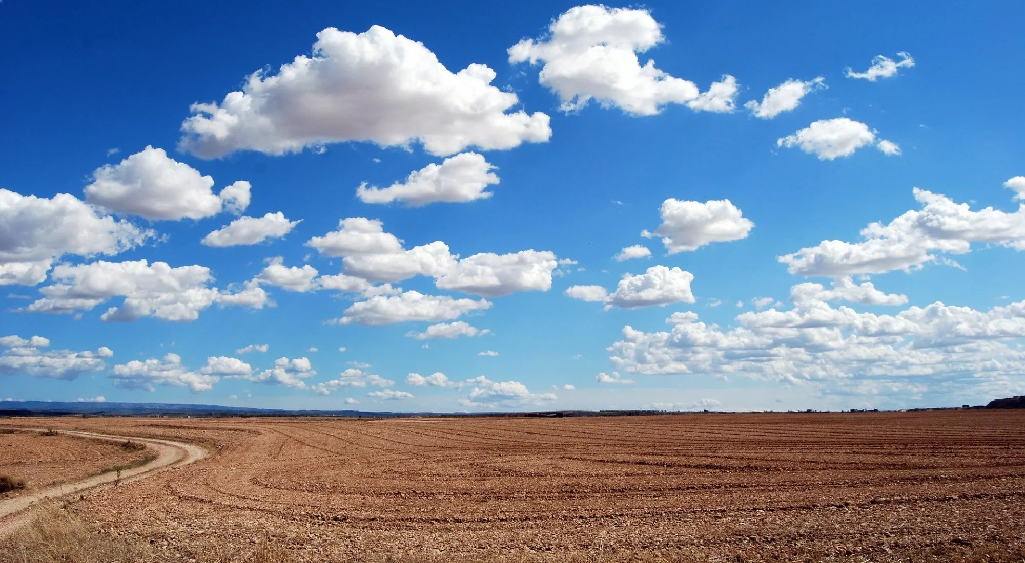 Trockenes Feld