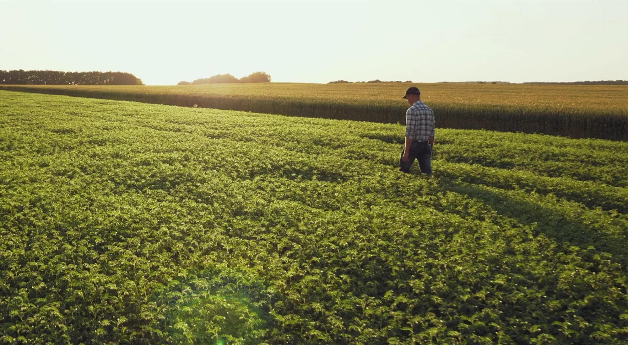 COMPO EXPERT Corporate Film Screenshot